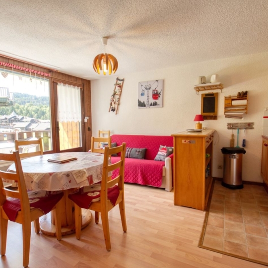  ALP'AGENCE : Appartement | MORILLON (74440) | 31 m2 | 155 000 € 