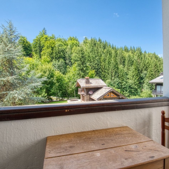  ALP'AGENCE : Appartement | MORILLON (74440) | 21 m2 | 95 000 € 
