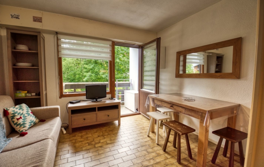 ALP'AGENCE : Appartement | SAMOENS (74340) | 18 m2 | 92 000 € 